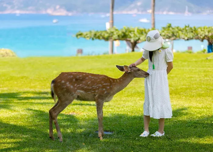 HORIZON RESORT & SPA YALONG BAY-YALONG BAY CENTRAL, SANYA